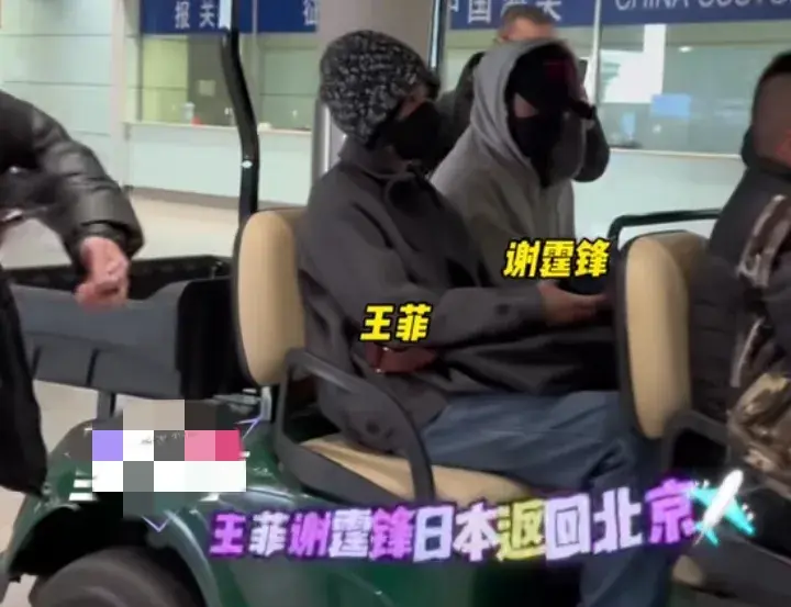 王菲谢霆锋同框现身机场