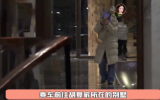 好事将近?金晨拎礼物拜访胡夏父母